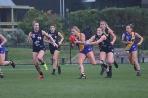 Seagulls stay focused