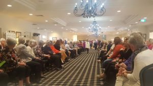 Cat walking for the kids