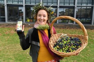 Turning olives into oil