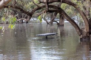 Residents told to avoid Kororoit Creek