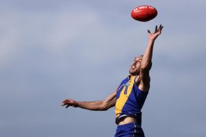 Seagulls take the Hawks scalp