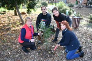 Stellar sustainability for Braybrook