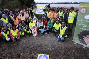 A terrific tree turnout