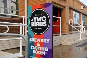 Lion kills Two Birds