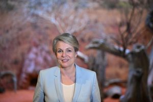 Victorian Reptile thought extinct rediscovered