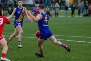 Seagulls get it done for Jolley