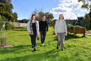 Walking for wellbeing