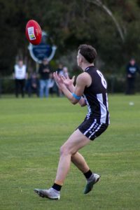 Magpies hunted by Panthers