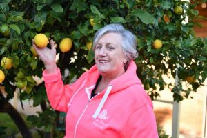 Open harvest project for community