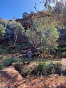 Discussing plants with Zena Cumpston