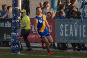 Hungry Seagulls swoop