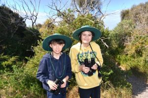 Springtime birdwatching