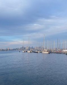 Survey open on Williamstown port