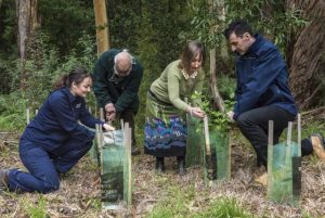 Cash flows with new incentive