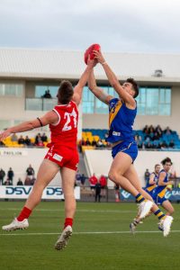 Seagull returns to Dees