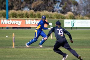 Seagulls finally fire