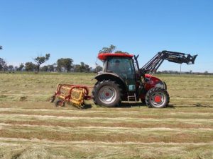 New biosecurity strategy keeping Victoria prepared