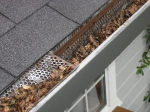 Clear leaves from gutters to avoid flooding