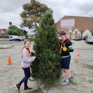 Scouts sell trees