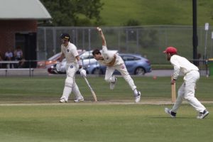 Three in a row for Dogs