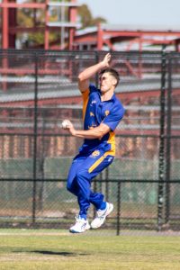 Seagulls bounce back