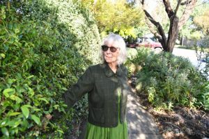 Verge garden to stay