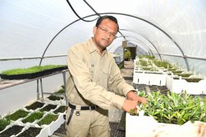 Native nursery thrown a lifeline