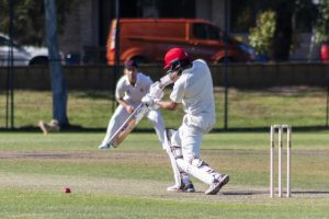 Dogs wanting to finish strong