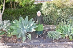 Nature strip policy still causing angst for dedicated gardener