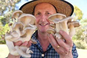 Fresh finds at the farmers market