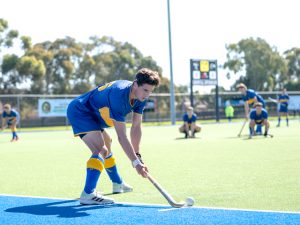 Seagulls strong start