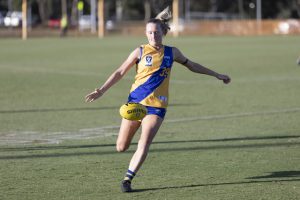 Seagulls continue to improve