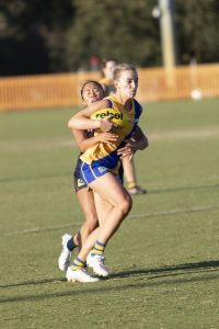 Seagulls claim minor premiership