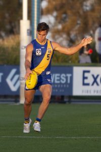 Seagulls bounce back