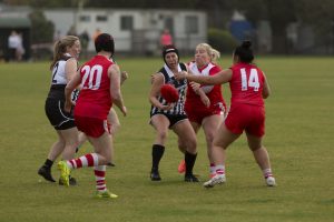 Magpies continue to build