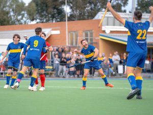 Seagulls content but wary