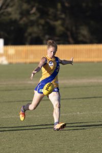 Season over for Seagulls