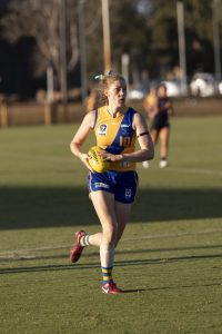 Seagulls to go again