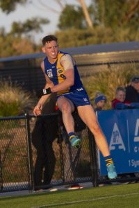 Seagulls keep winning