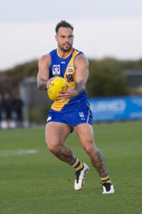Williamstown knocked out by Brisbane Lions, again
