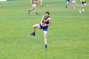 New signings for Seagulls