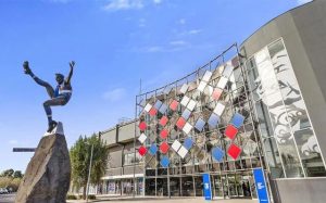 Bulldogs to celebrate 100th anniversary in VFL/AFL