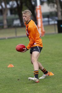Seagulls add depth, AFL experience