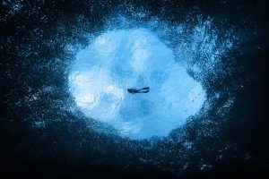 An ocean of photography