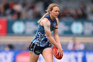 McWilliams adds experience for Seagulls