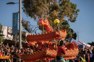 Sunshine to welcome Lunar New Year