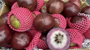 Taste of the tropics, the hottest fruit trends for 2025
