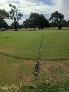 Golfers sick of green vandals