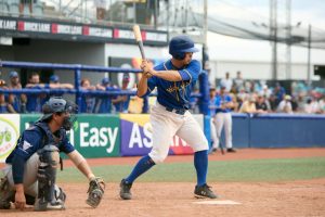 Wolves proud in defeat