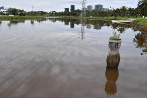 Maribyrnong residents invited to flood forum